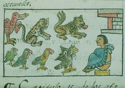 Ms Palat. 218-220 Book IX Animals of the Aztec Emperor, from the 